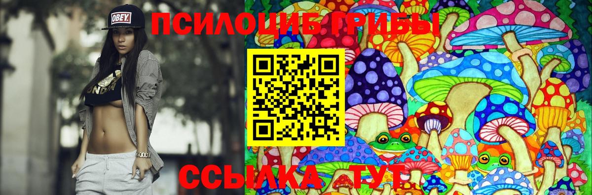  COCAIN Майкоп