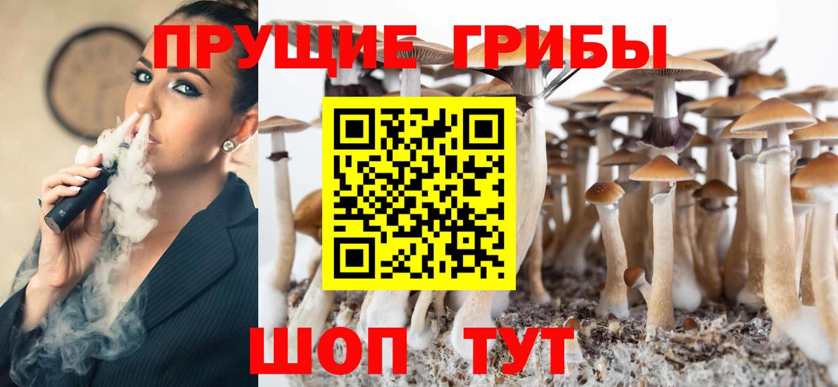 Майкоп  Галлюциногенные грибы мухоморы  Вход с VPN 