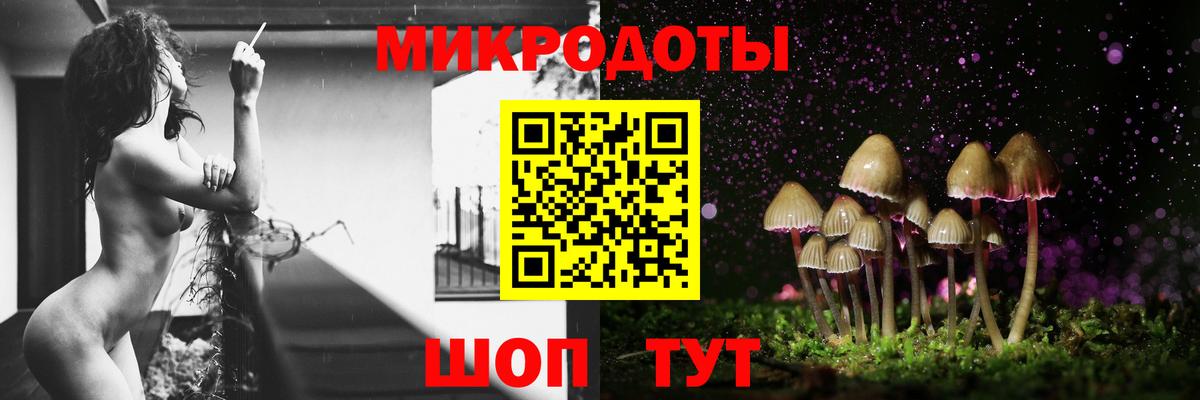 Галлюциногенные грибы прущие грибы Майкоп