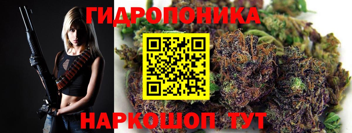 Бошки Шишки семена  Каннабис конопля  Шишки марихуана марихуана  Майкоп  Вход с VPN 