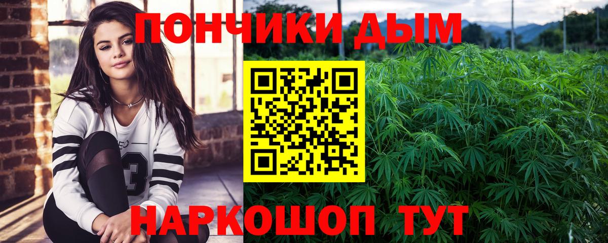 Бошки марихуана индика Майкоп